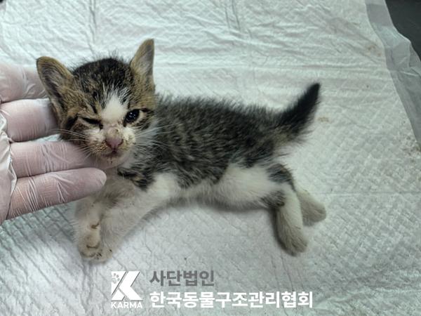 종료(자연사) 한국…